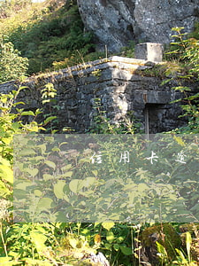 信用卡逾期發(fā)的短信是真的嗎？